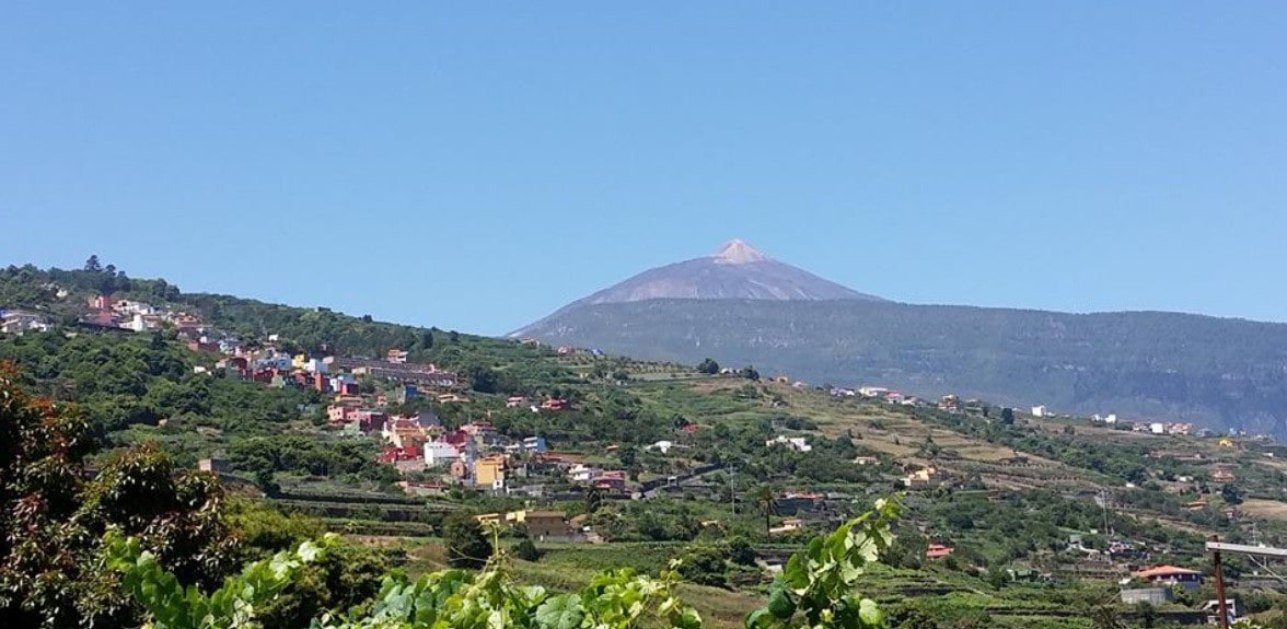 Shared Room 700m Walkers/Cyclists to Teide/Forest