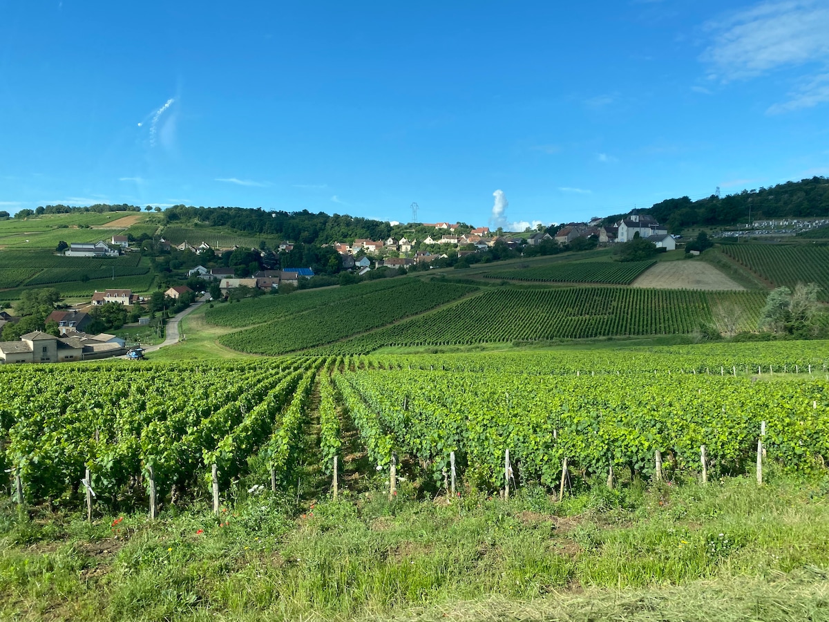 L'Ecrin des Vignes Montagny