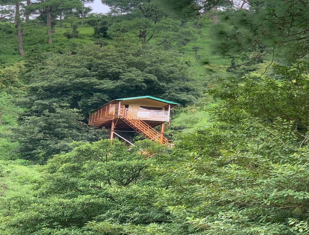 Treehouse at The Cocoon Resort