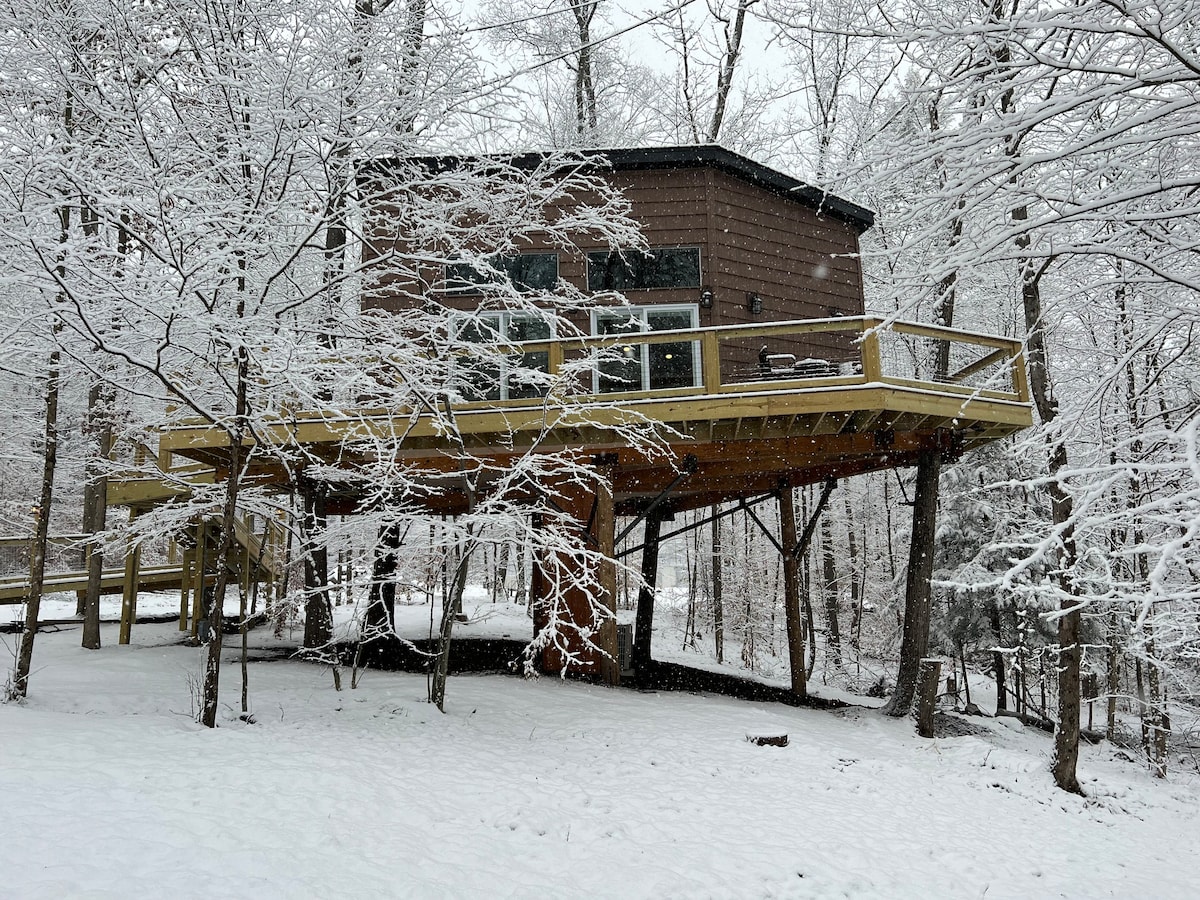 A Treehouse -Falcon Nest