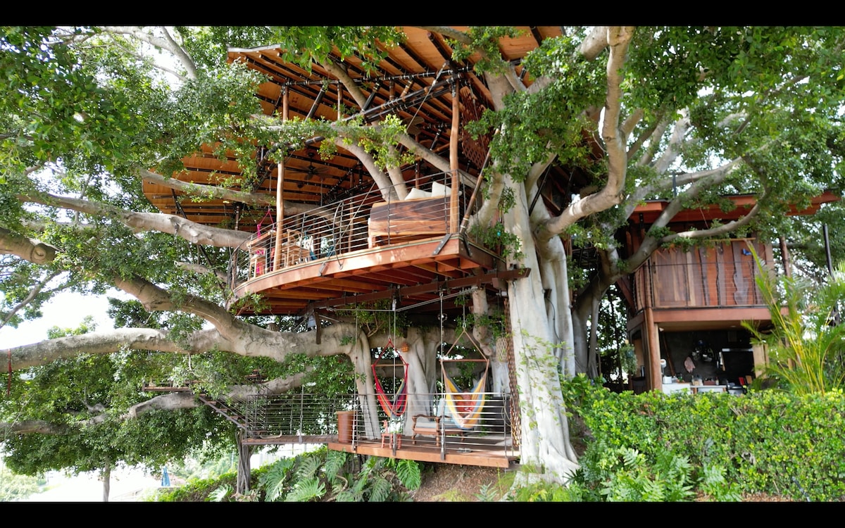 僻静的Mahina Treehouse