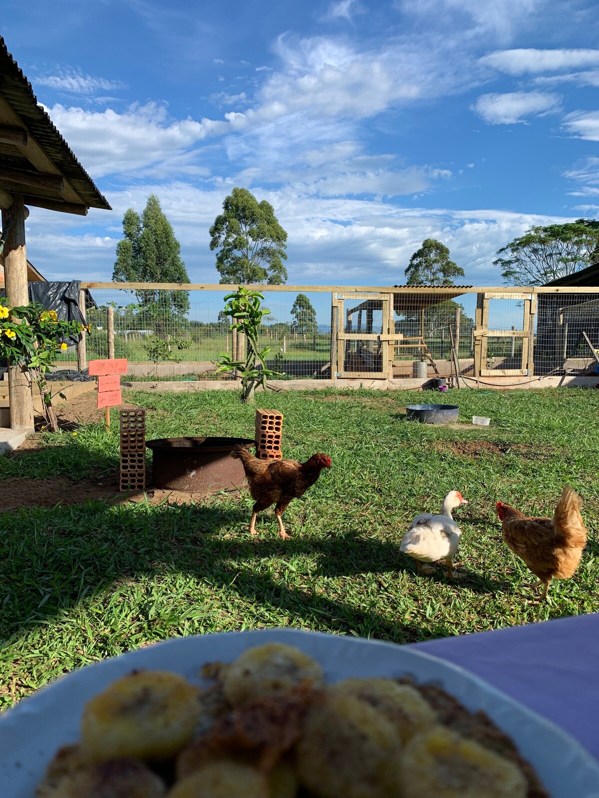 Quarto em sítio na praia, hospedagem terapêutica