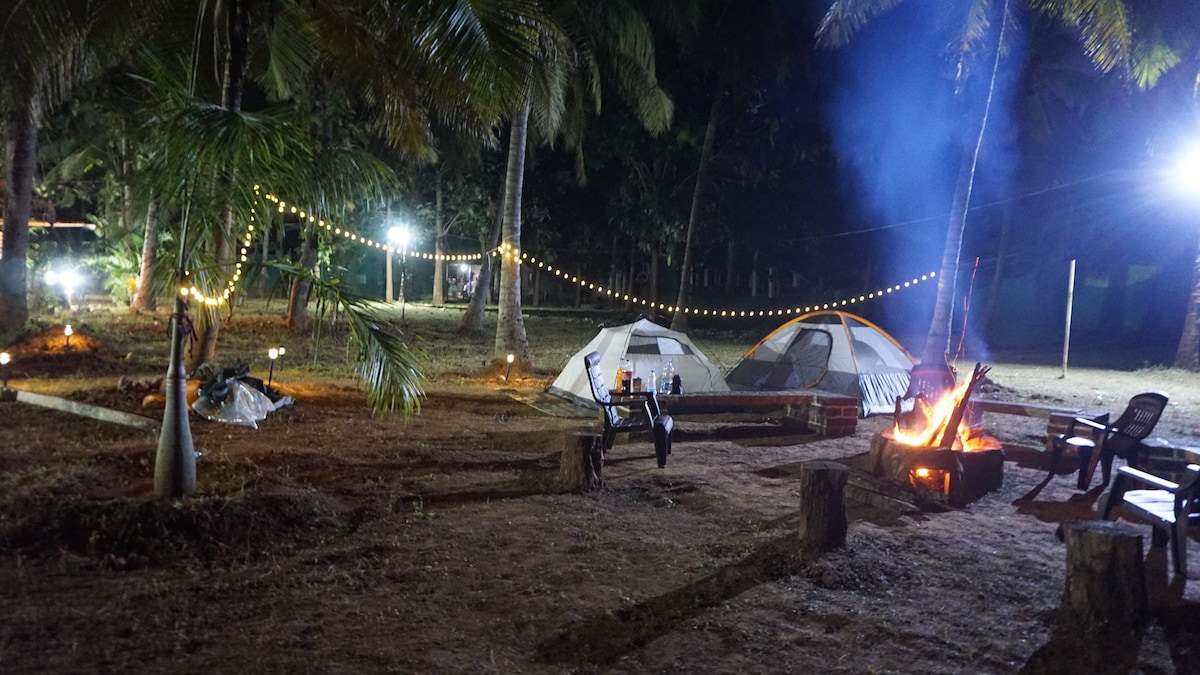 Camping under the Stars