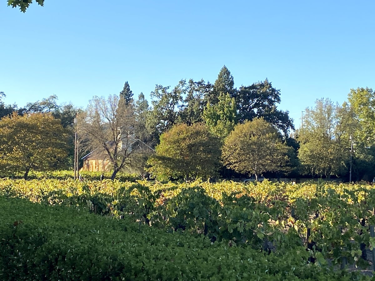 St. Helena Vineyard View