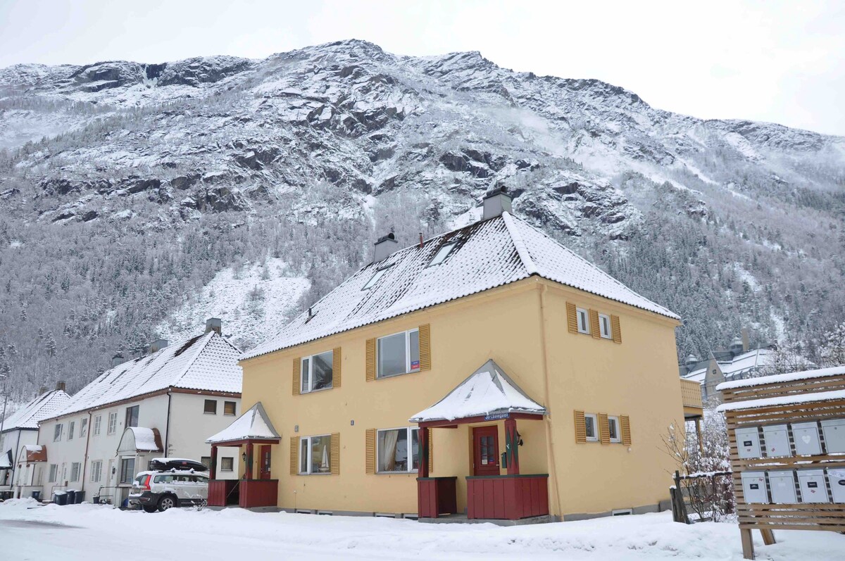 Rjukan Sport Lodge - 1 etg. 80m2