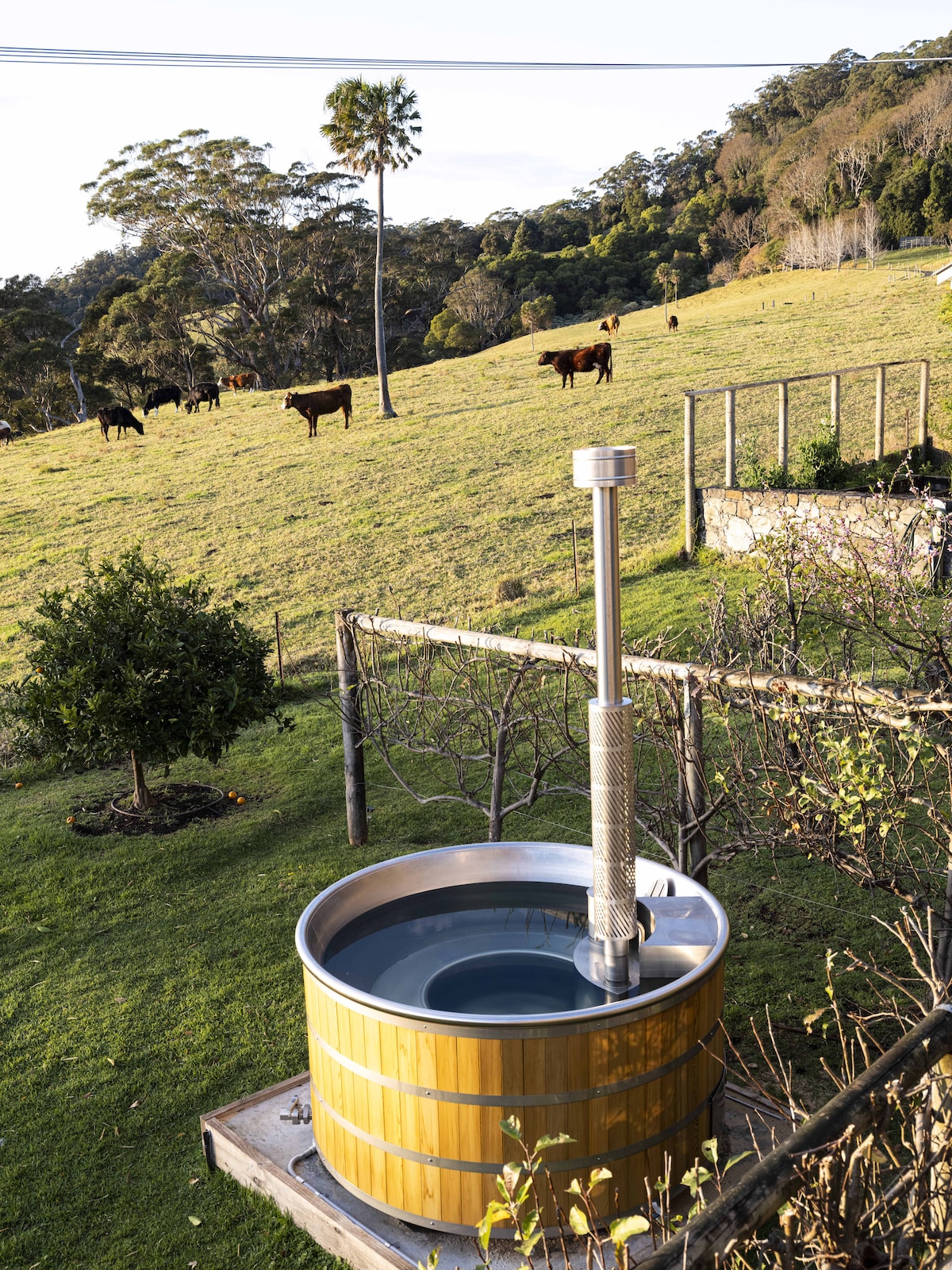 Jamberoo Valley Farm Ocean View Cottage