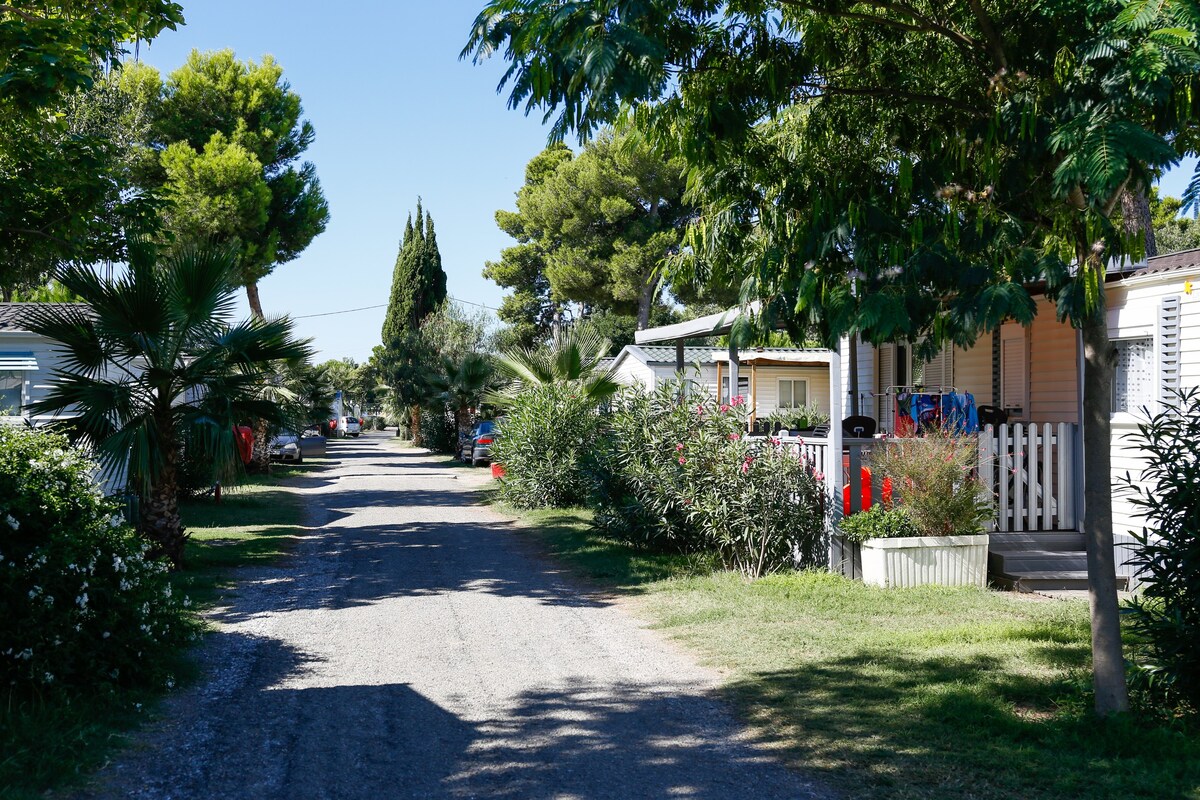 移动房源， 2间卧室（栗树） ，位于露营地