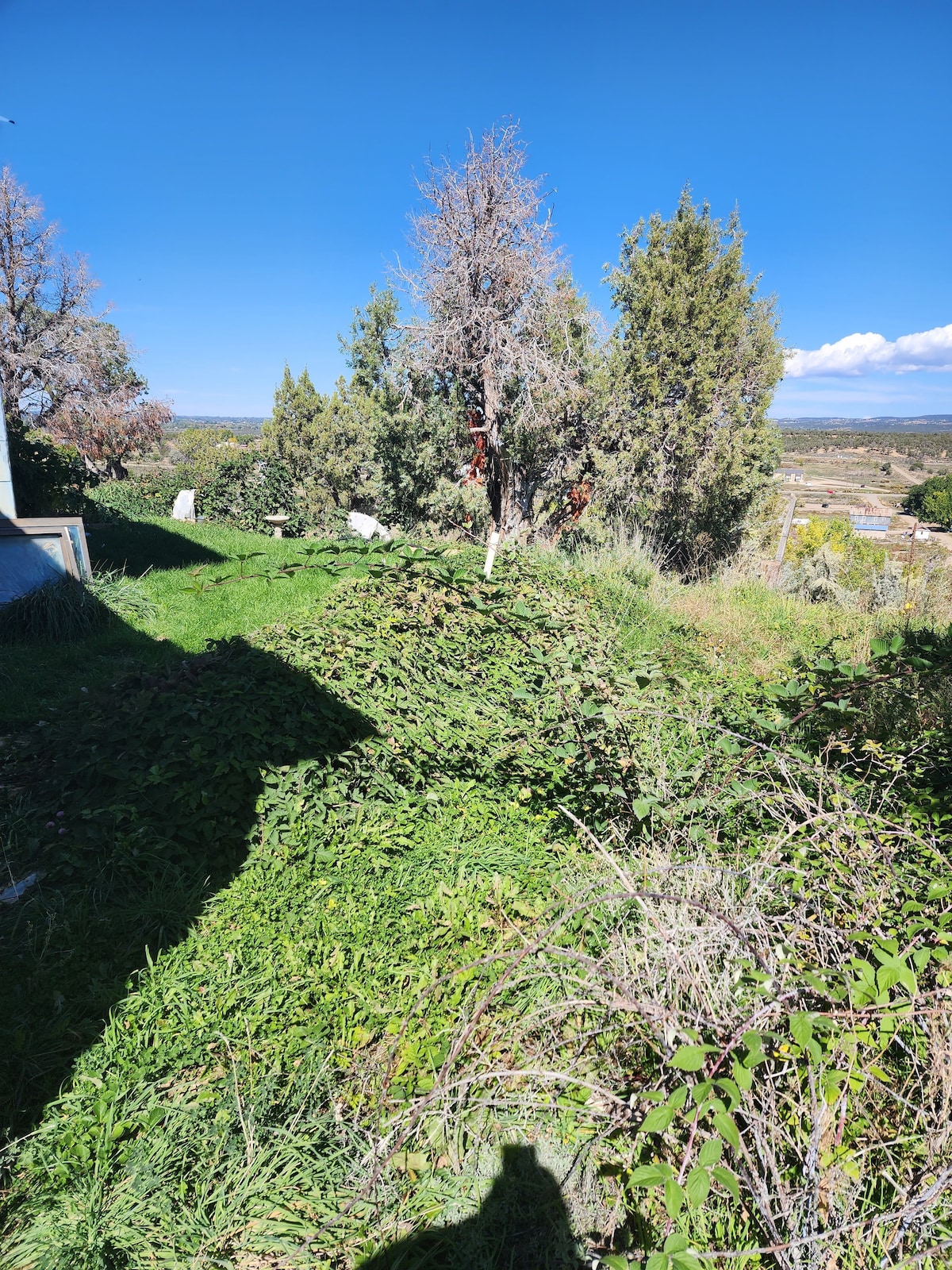 South Mesa Cottage