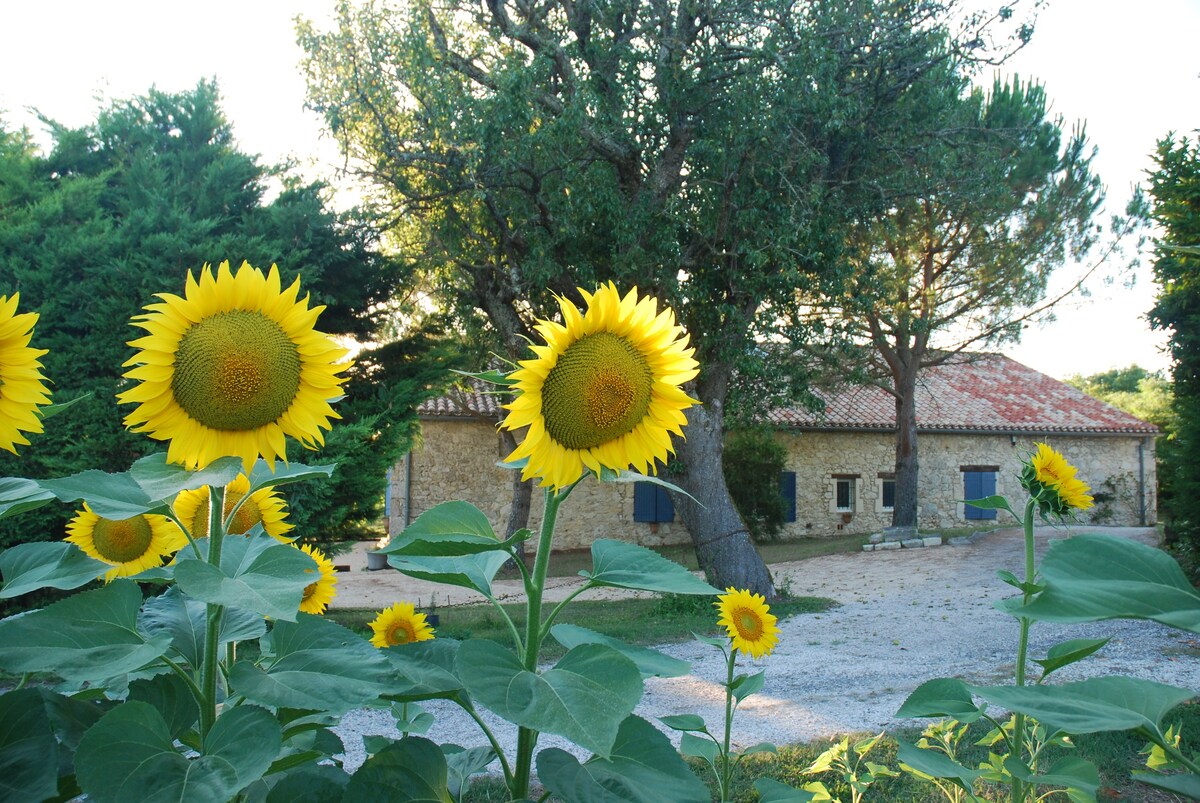 Grande maison avec piscine