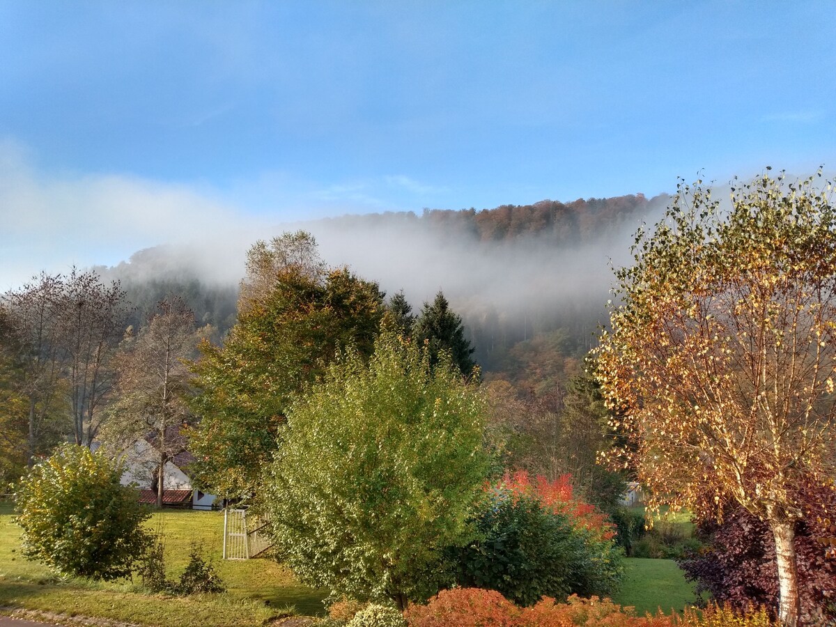 Eifel B&B Zendscheid ，可欣赏美景和宁静