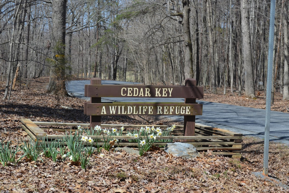 Cedar Key Retreat