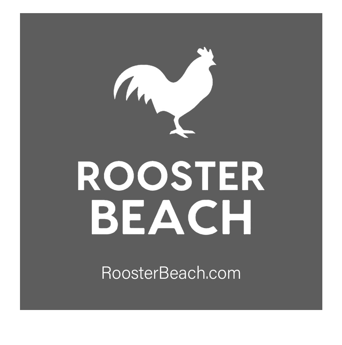 Rooster Beach : Modern Beach House