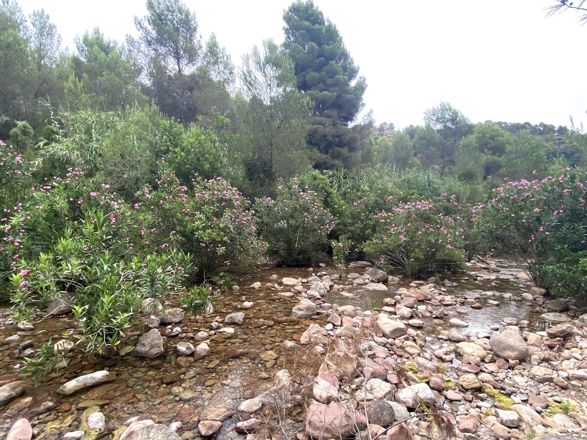 "Xibeca" Balcón a la Calderona.