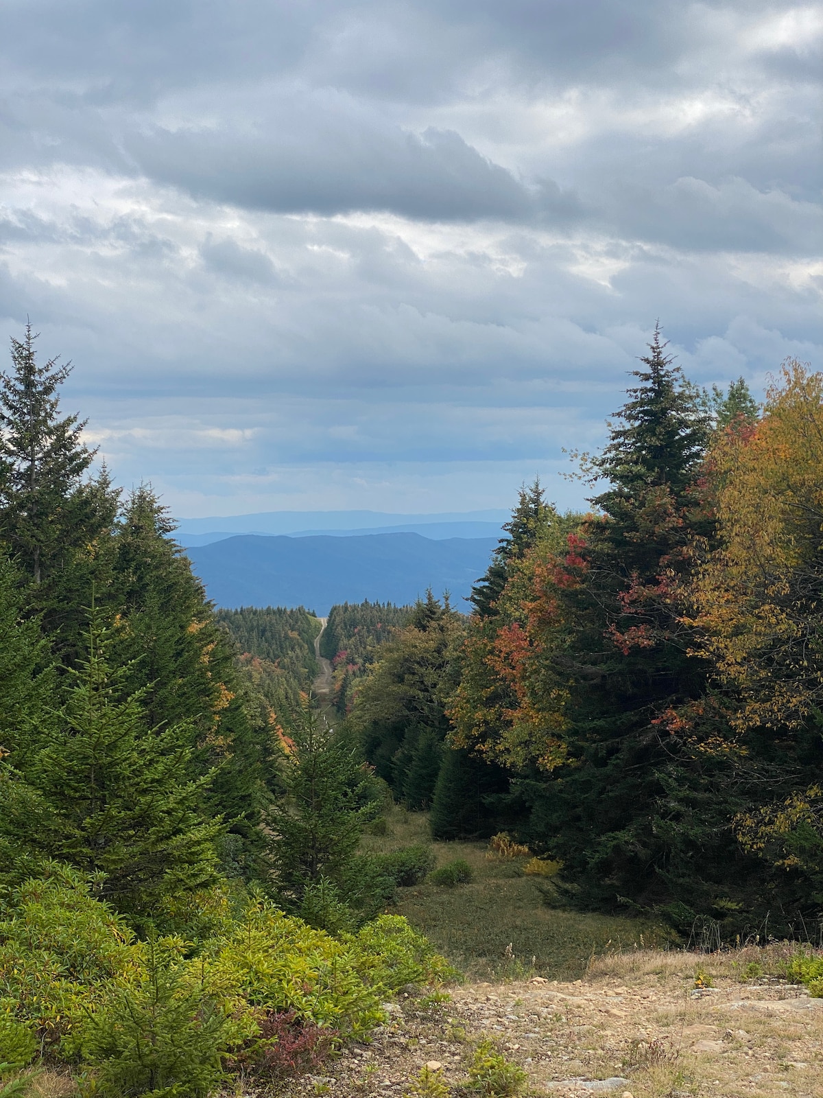 Summer Paradise Head Mountains Canaan Valley!