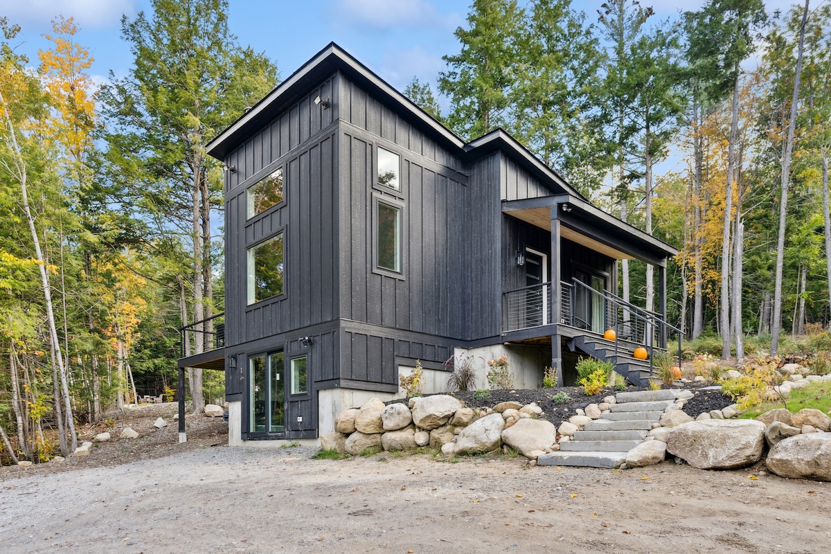 New modern cabin-contemporary design meets nature