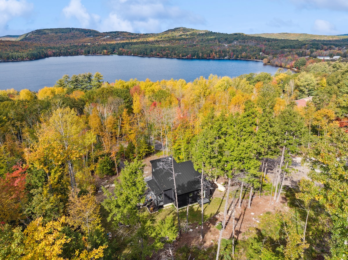 New modern cabin-contemporary design meets nature