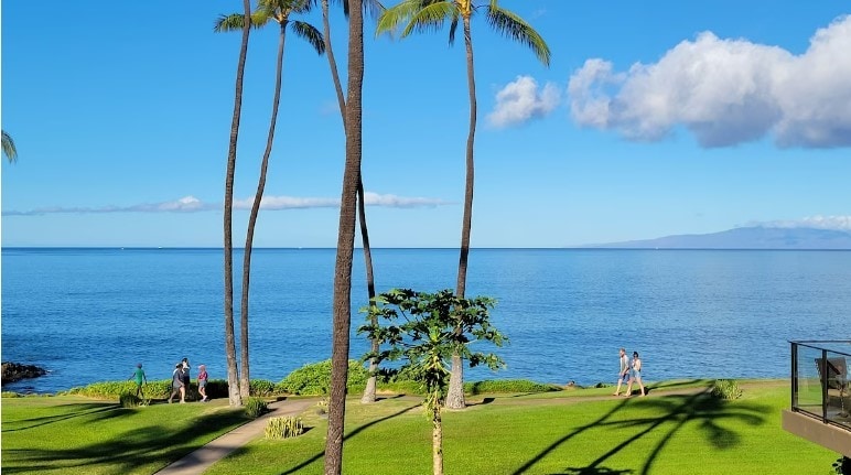 威雷亚埃鲁瓦海滩（ Wailea Elua Beach ）侧公寓