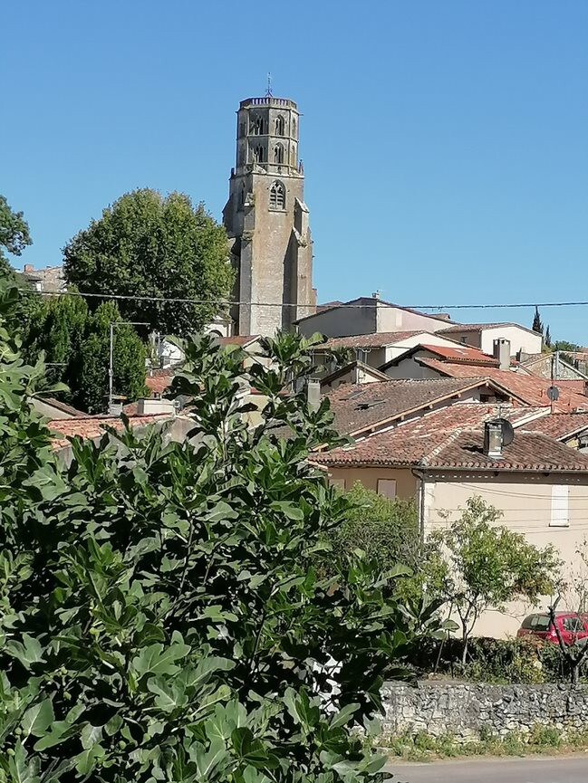 Vue sur le jardin et son petit bois de bambous