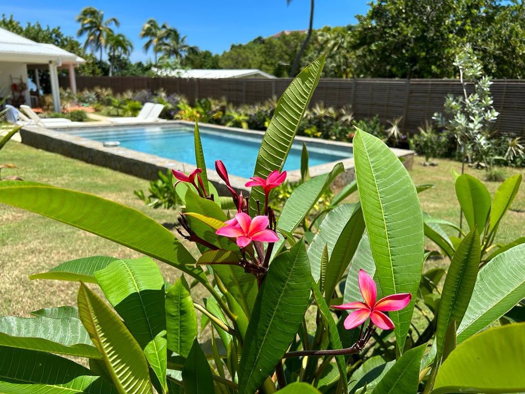 Villa Sweet Lagoon Villa Cap Est Martinique