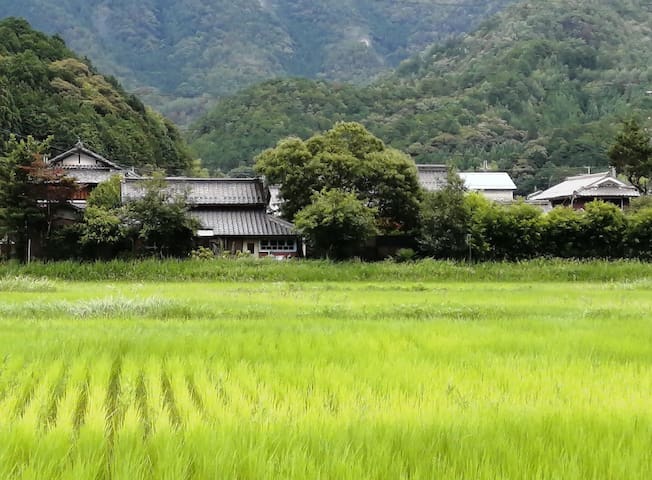 Tamba的民宿