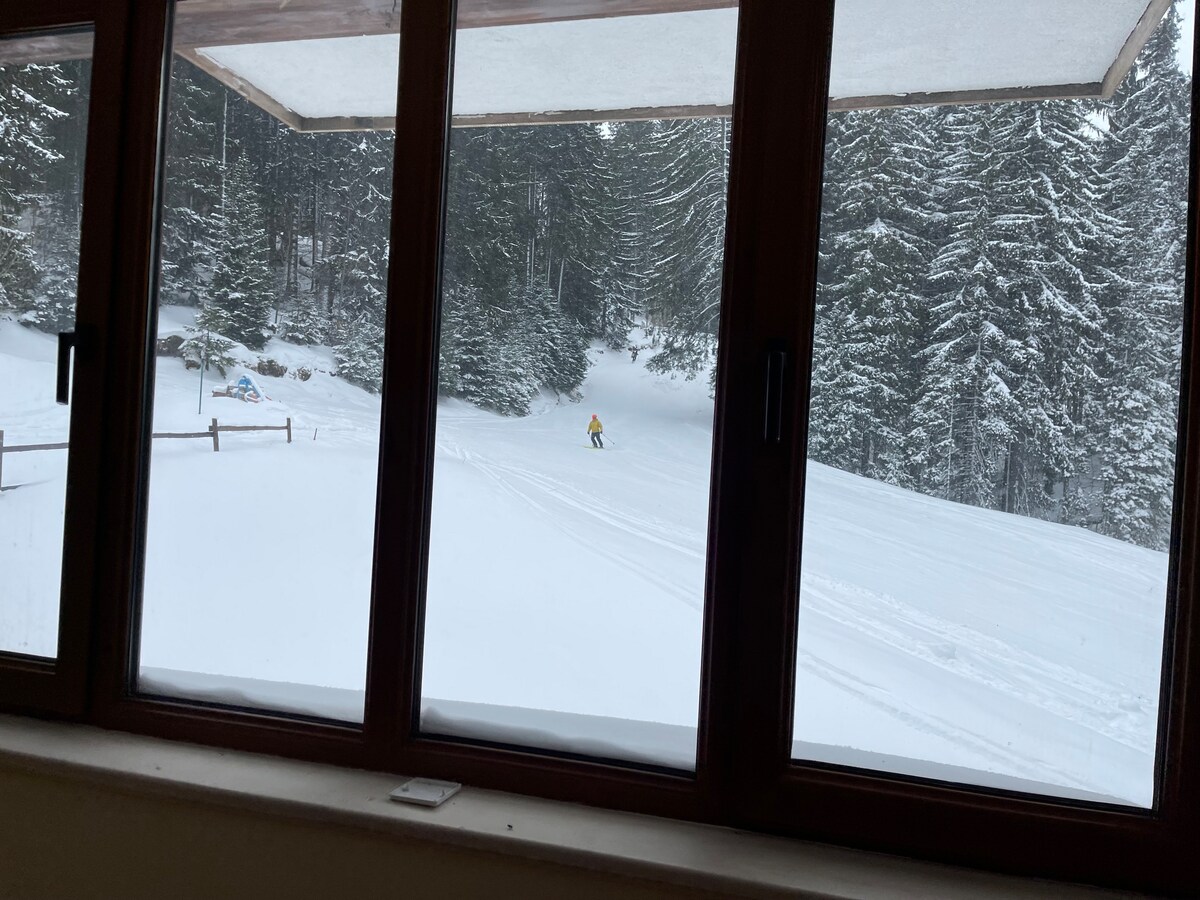 景观，滑雪场就在前面， 2间卧室