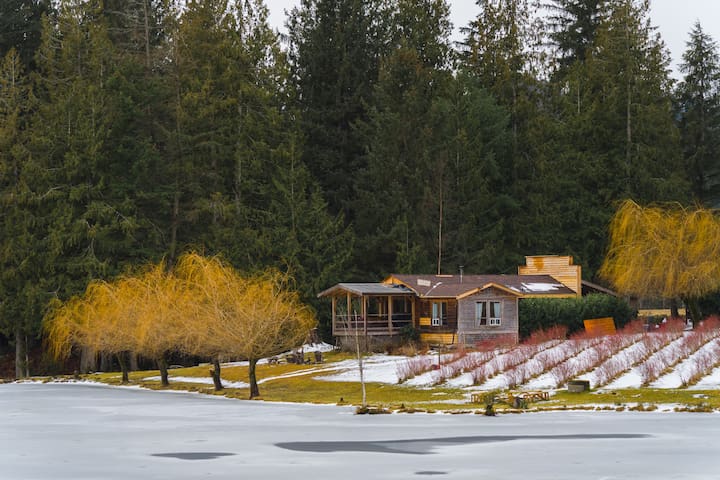 奇利瓦克 (Chilliwack)的民宿