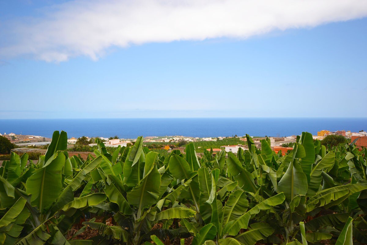 Casa con piscina en plantacion de bananas