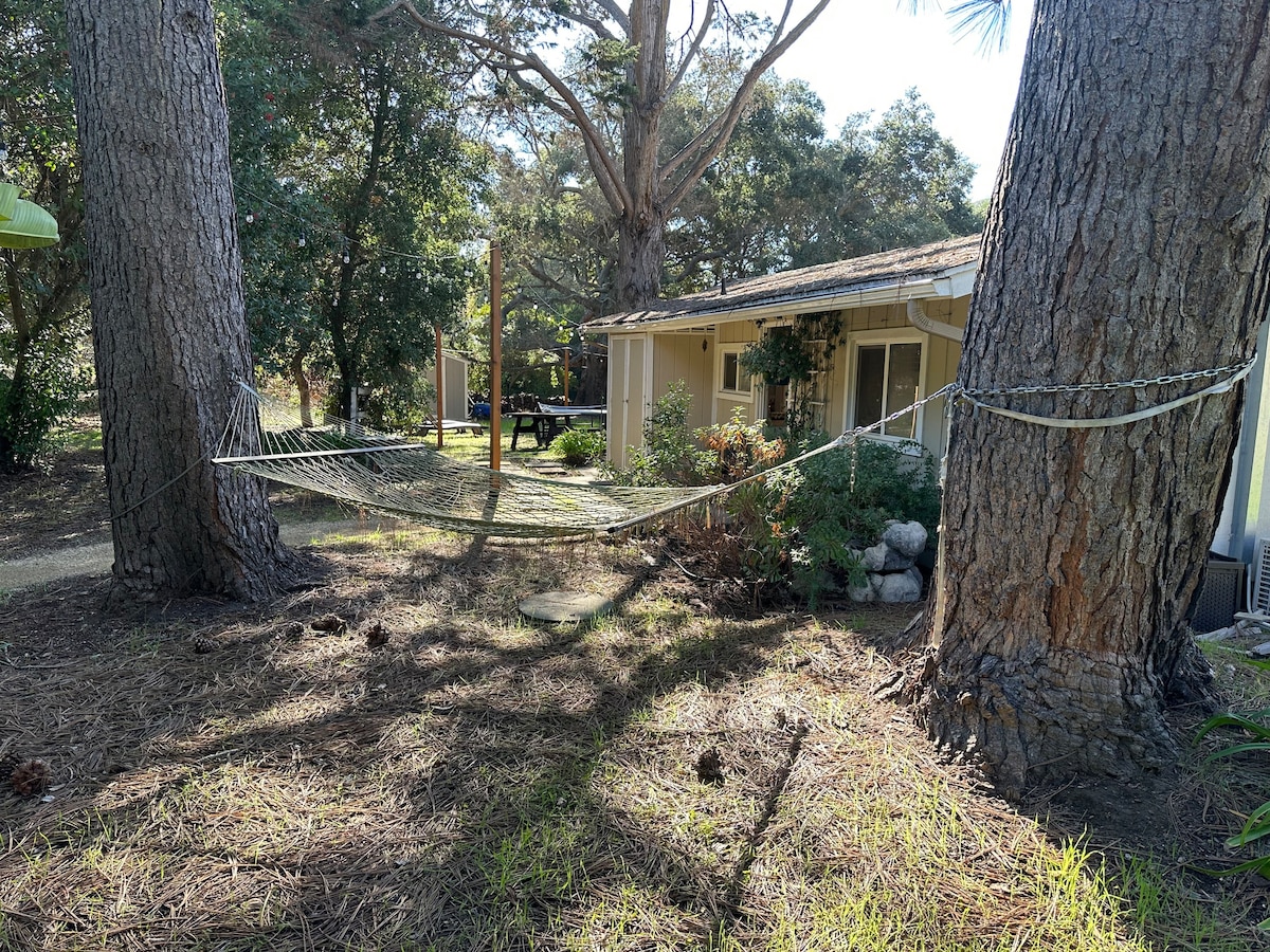 Pinecone Cottage