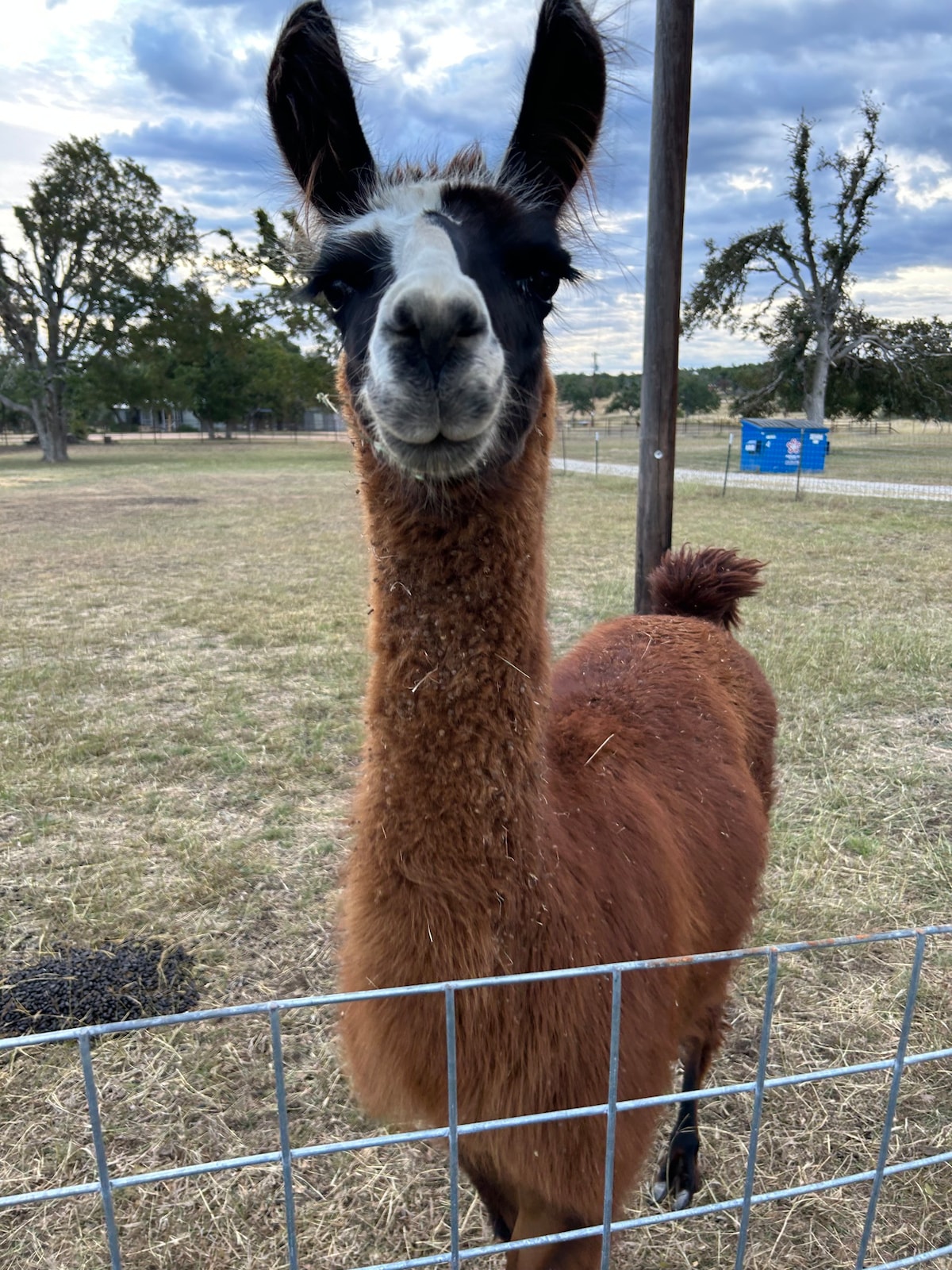 The Lucy at Fritztown Farms