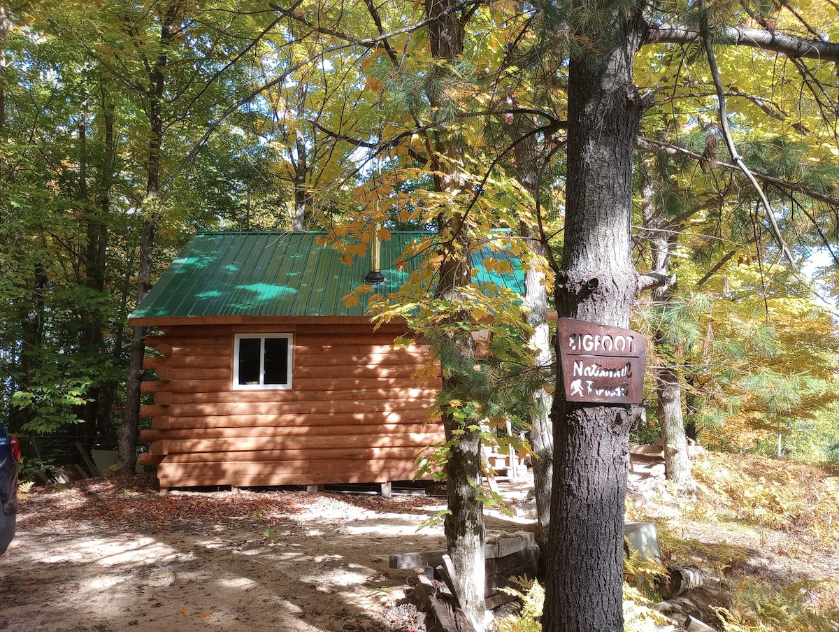 Off-grid Log Cabin