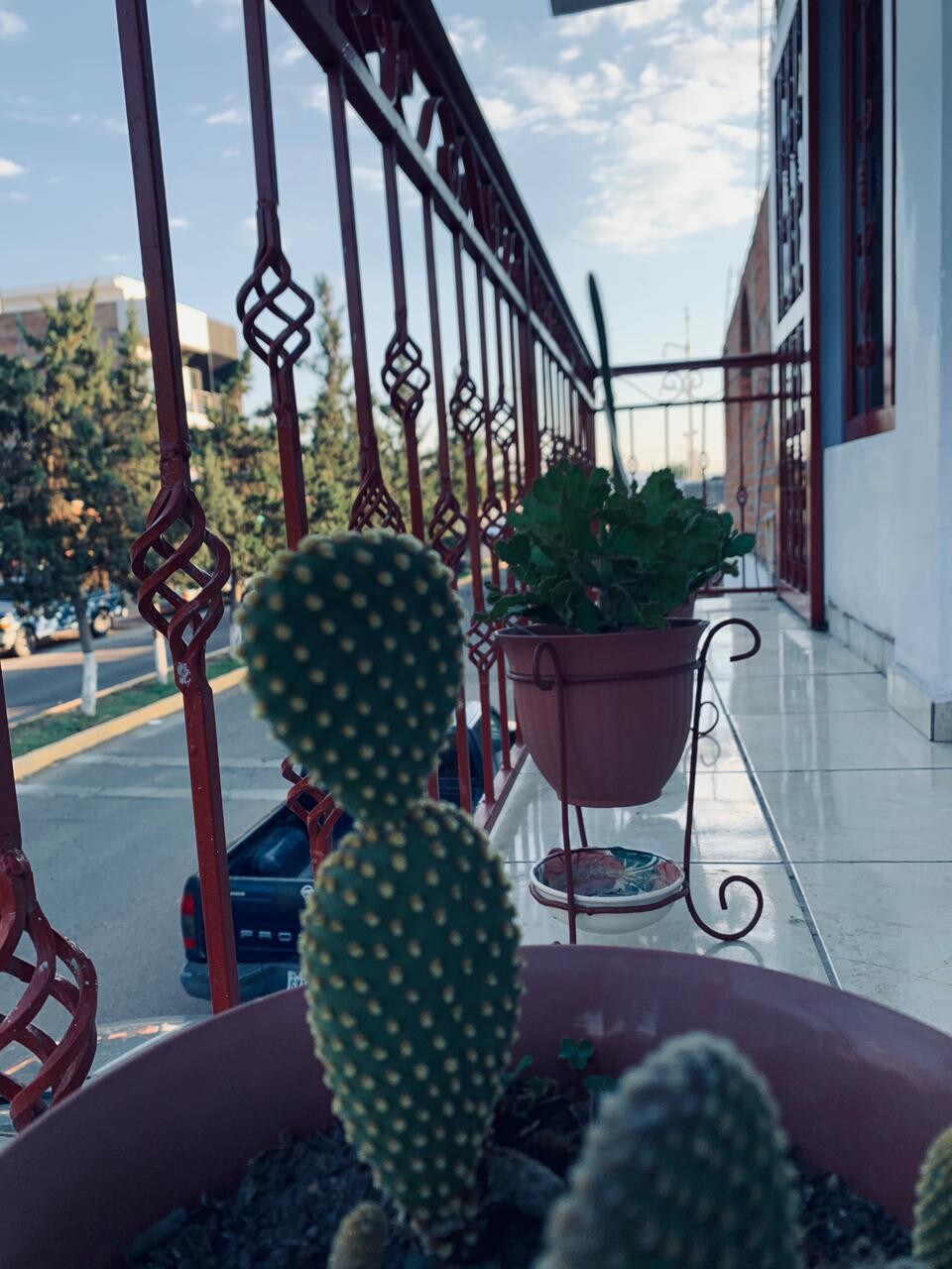 Hostal La Casa de los Cactus; La Barranca