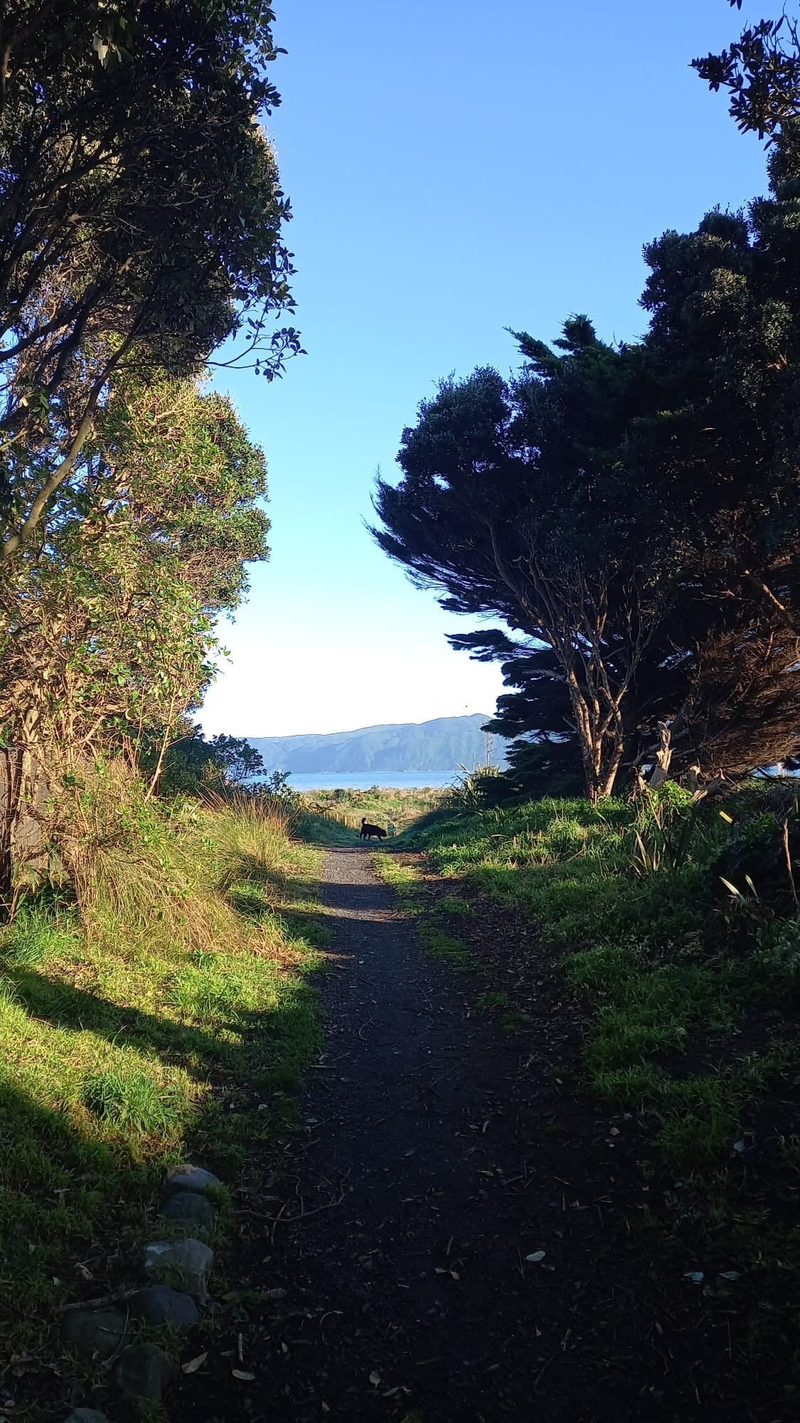 位于卡皮蒂（ Kapiti ）市中心的70年代经典餐厅