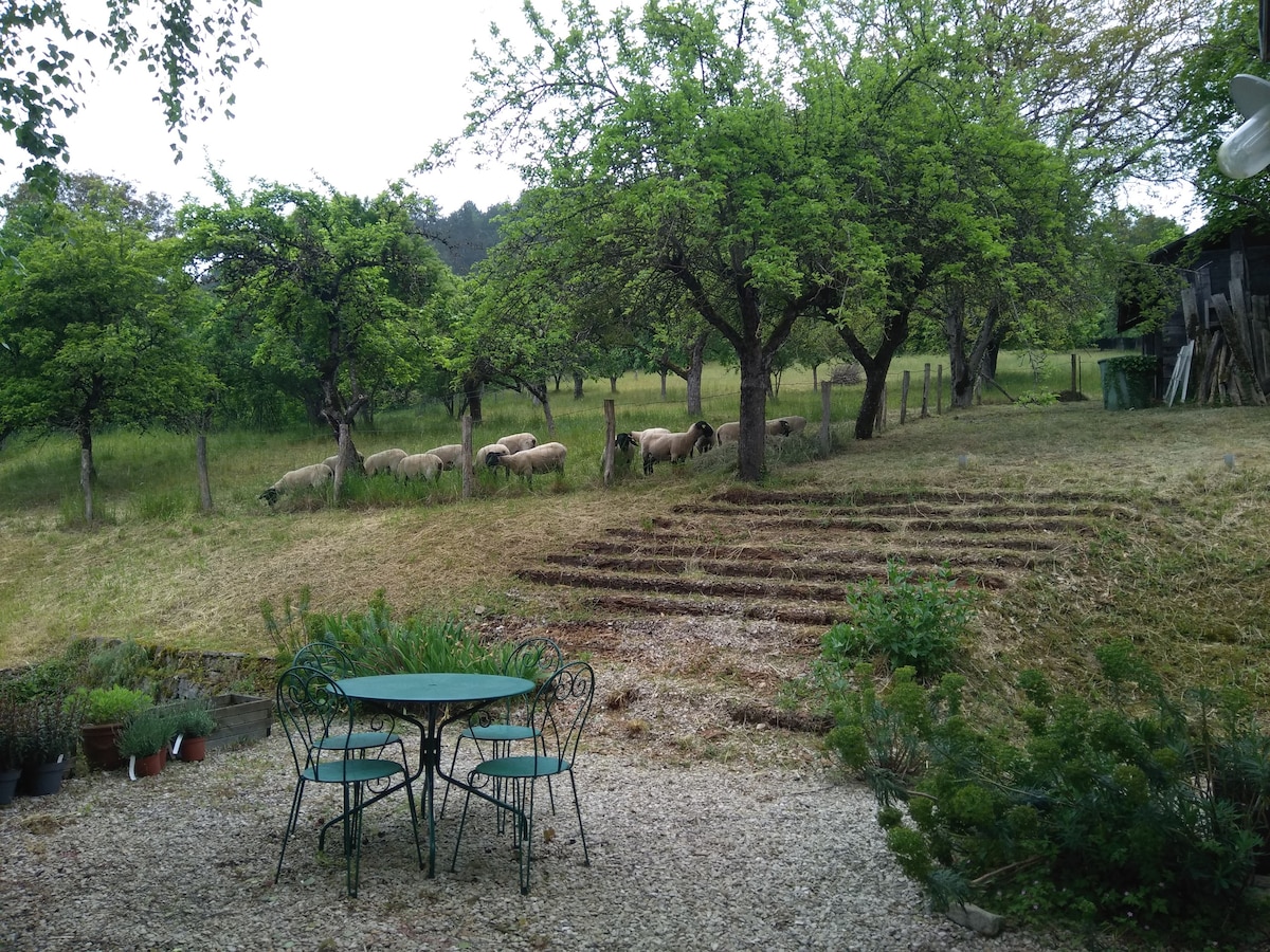 Ecogîte La charmette