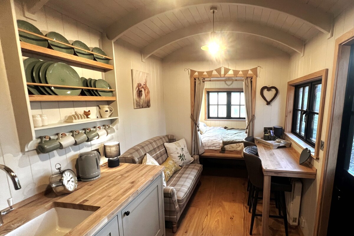 A cosy Shepherd's Hut in South Downs National Park