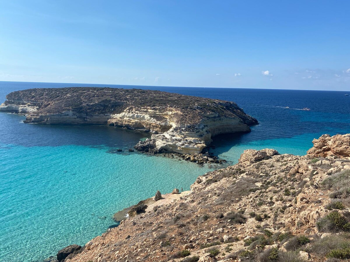 GC Petit Palais Lampedusa