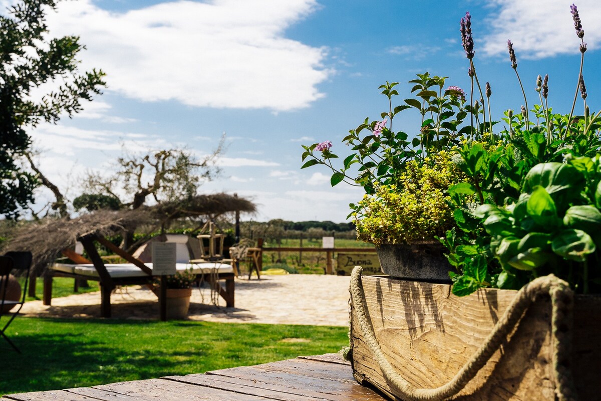 Room in farmhouse with pool 2 km from the sea