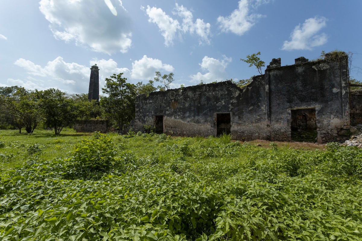 Hacienda antigua con cenotes
