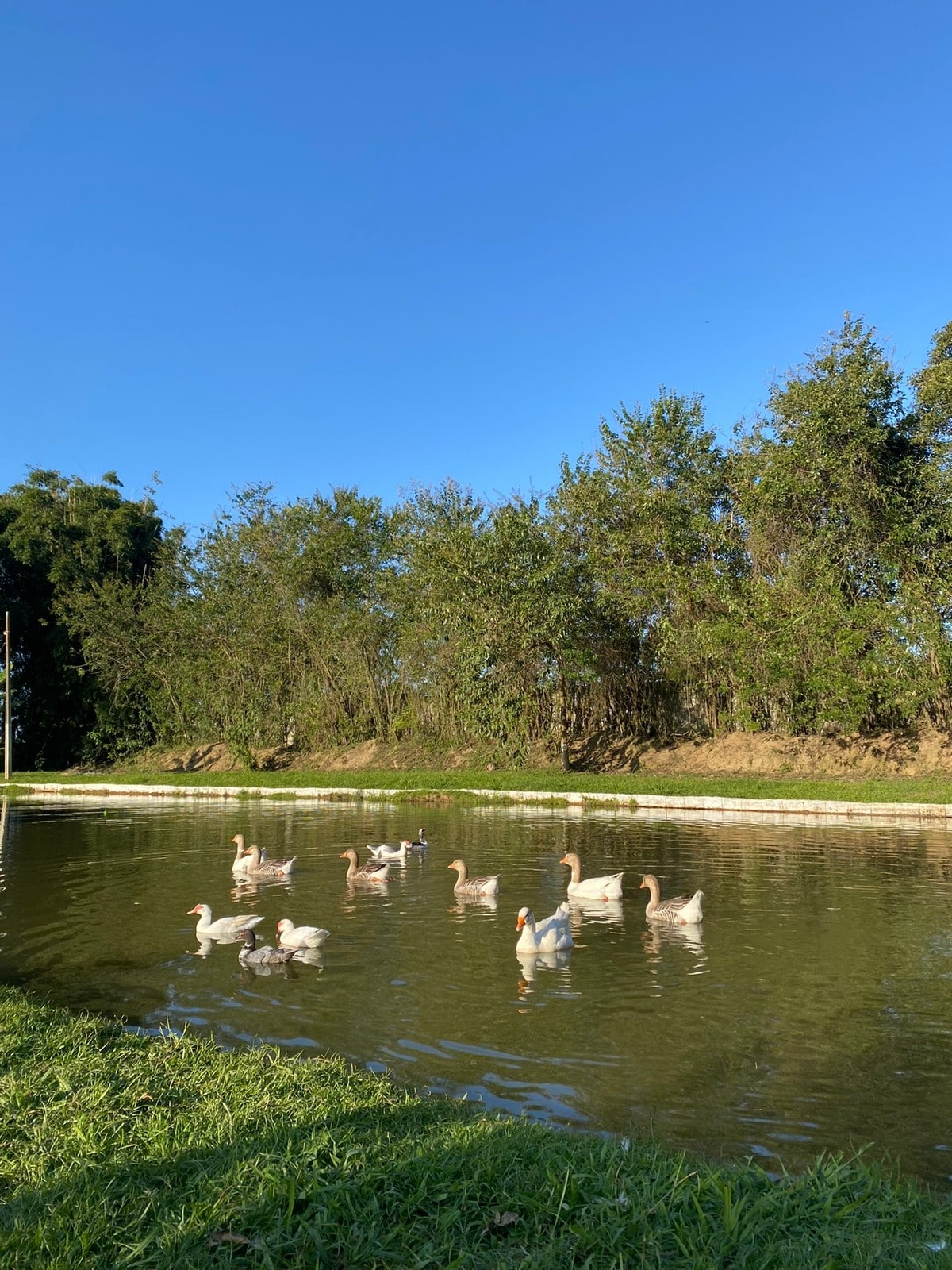 Casa de campo a 40min de Campos dos Jordão