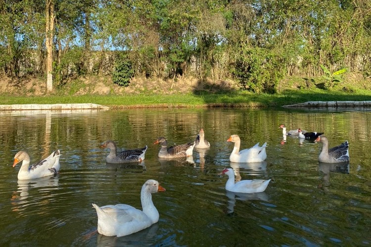 Casa de campo a 40min de Campos dos Jordão