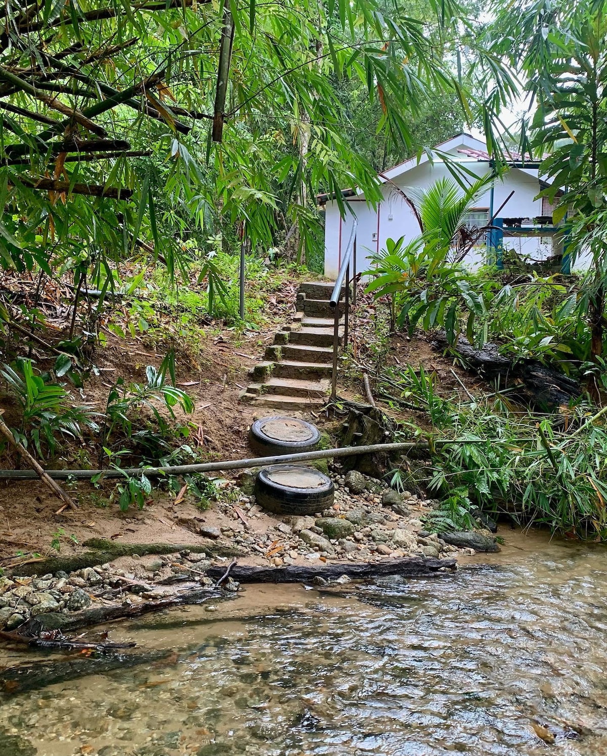 Rimba Jelai露营地（野外露营）