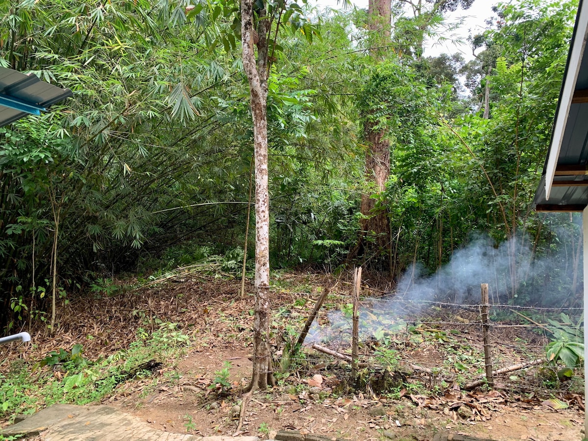 Rimba Jelai露营地（野外露营）