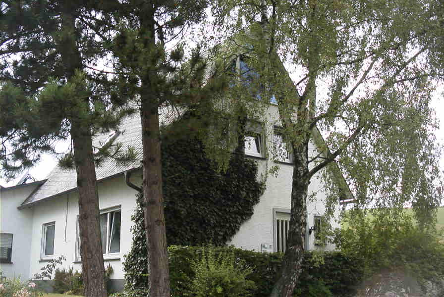 Weitblick auf Berg, Wald und Wiese