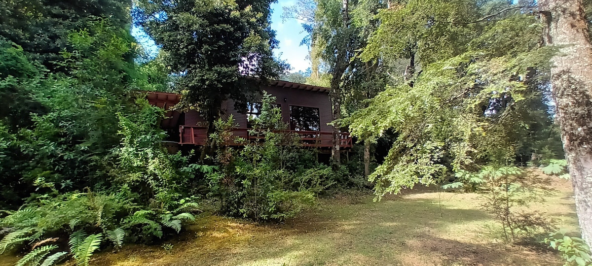 Buraleo 2 cabin