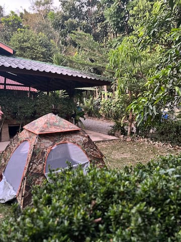 象岛(Ko Chang)的民宿