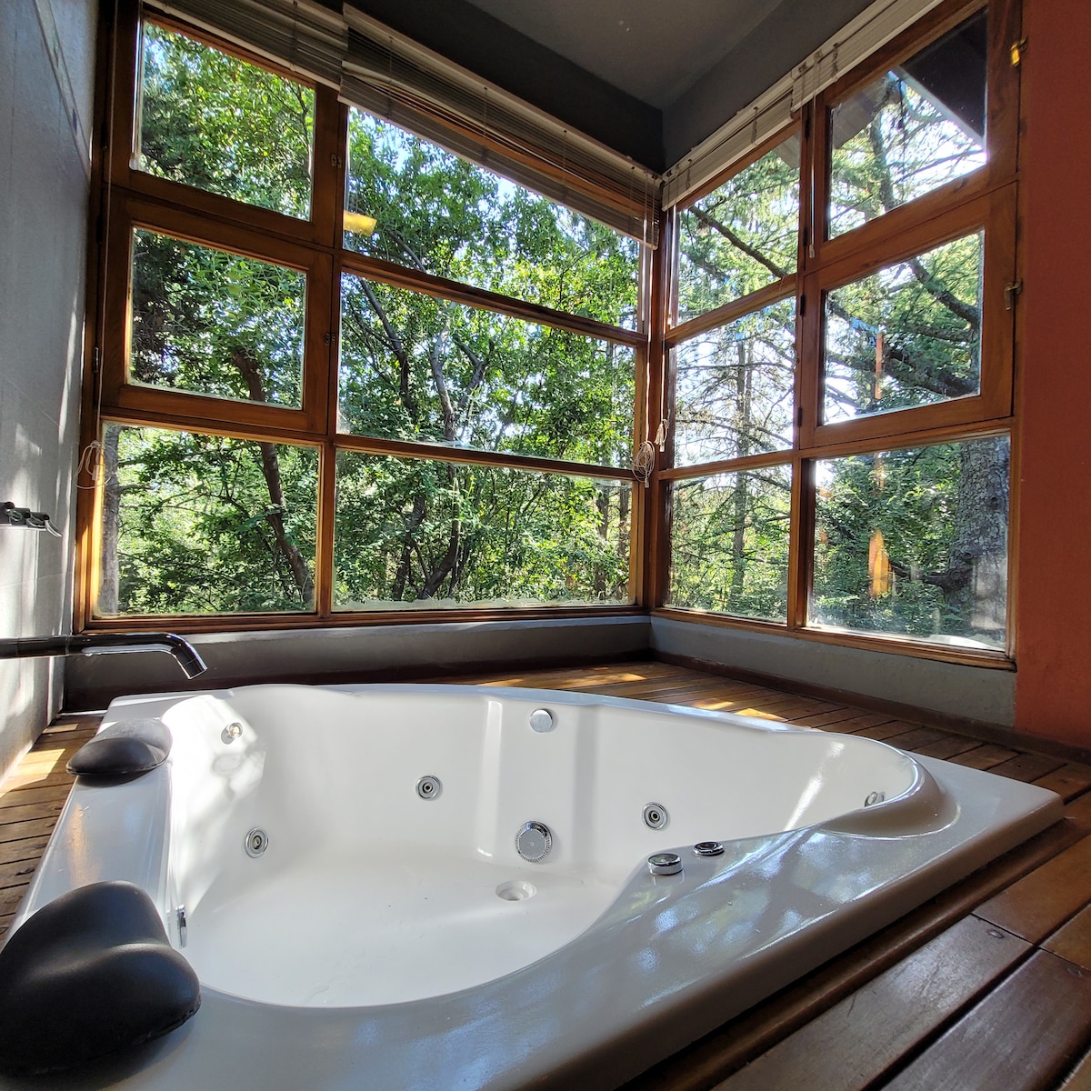 Casa 5 con jacuzzi en un bosque privado de pinos