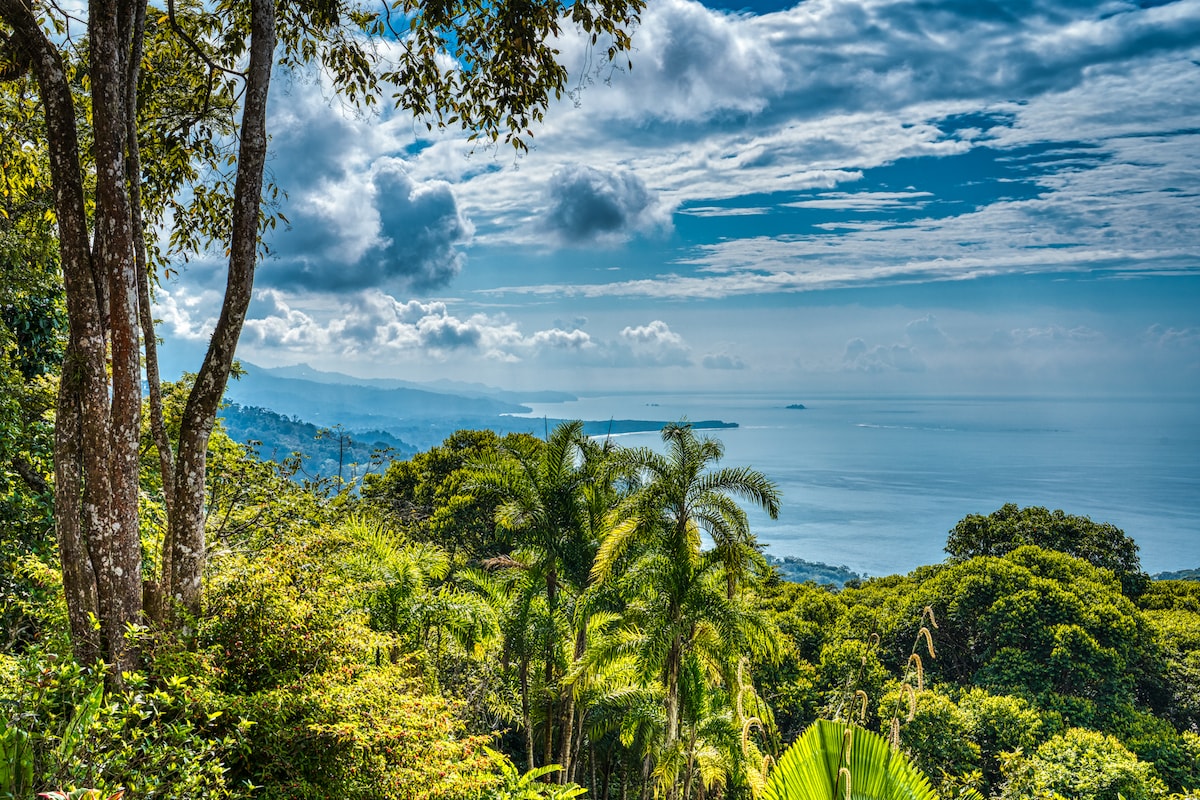 Casa Flores - luxury ocean view home