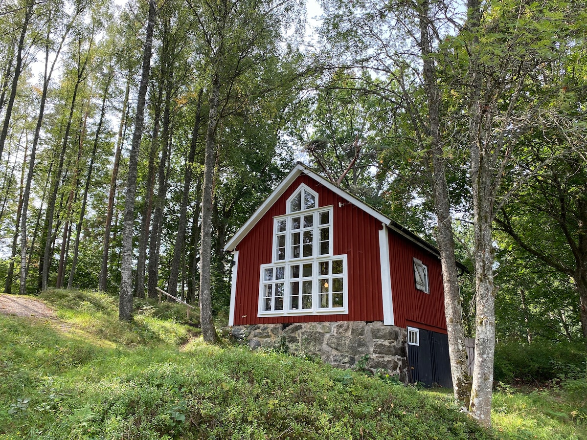 Unik svensk bolig ved søen Mien. Tæt på Åsnen