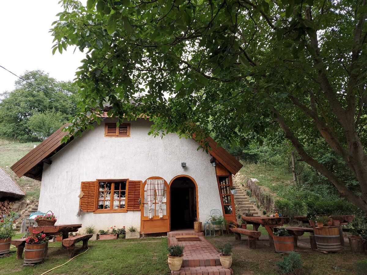 Landhaus auf dem Weinberg