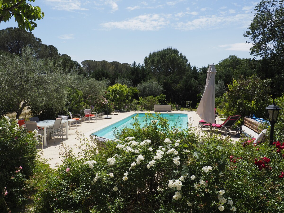 sunny house surrounded by roses and olive trees