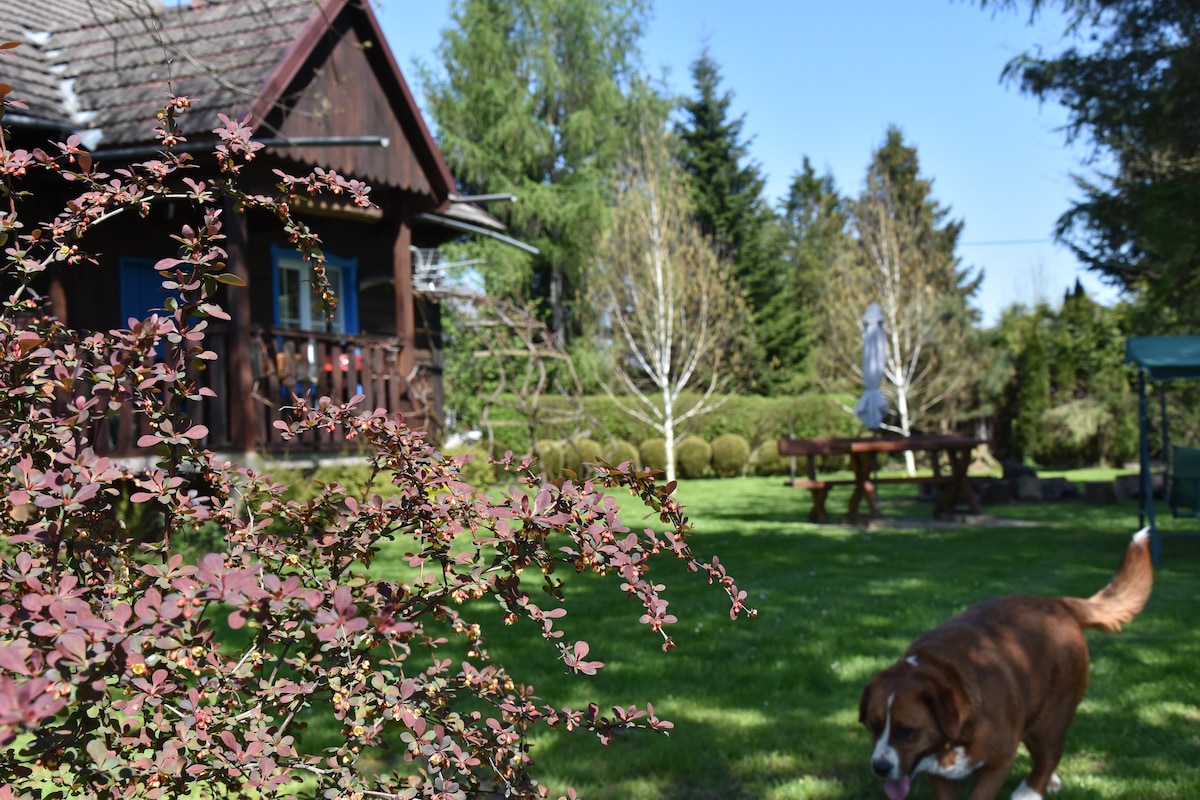 Cottage House in Wesolow